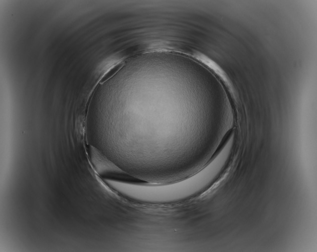 X0000086750809200705041426