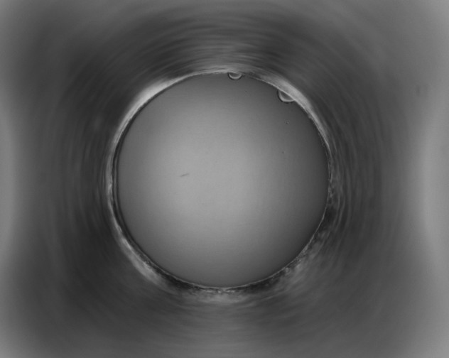 X0000086750811200705041426