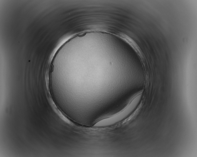 X0000086750812200705041426