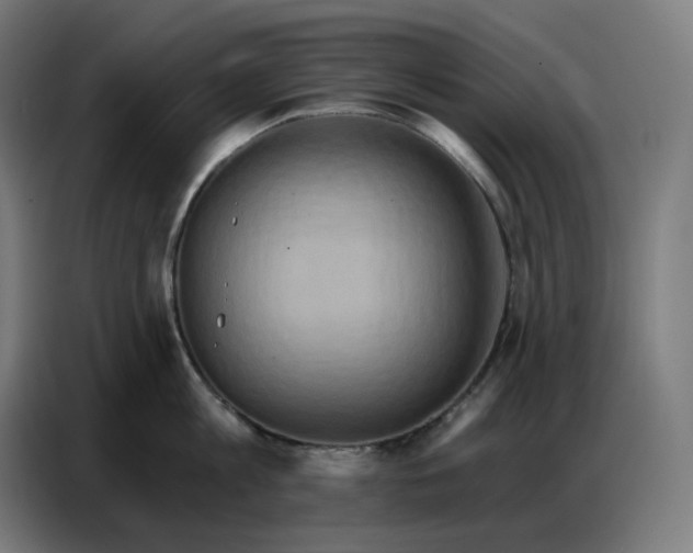 X0000086750813200705041426