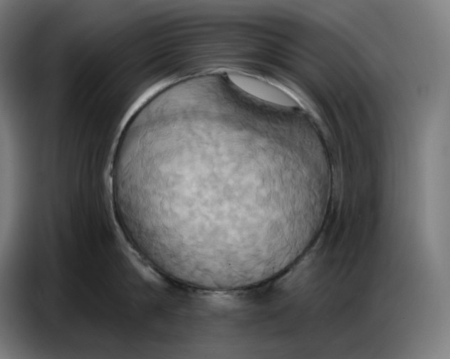 X0000086750814200705041426