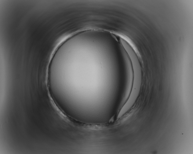 X0000086750815200705041426