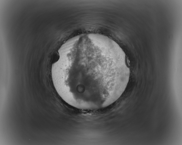 X0000086750817200705041425