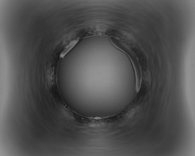 X0000086750818200705041425