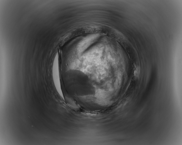 X0000086750819200705041425