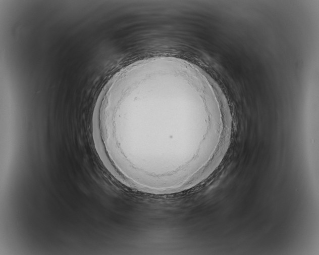 X0000086750820200705041425