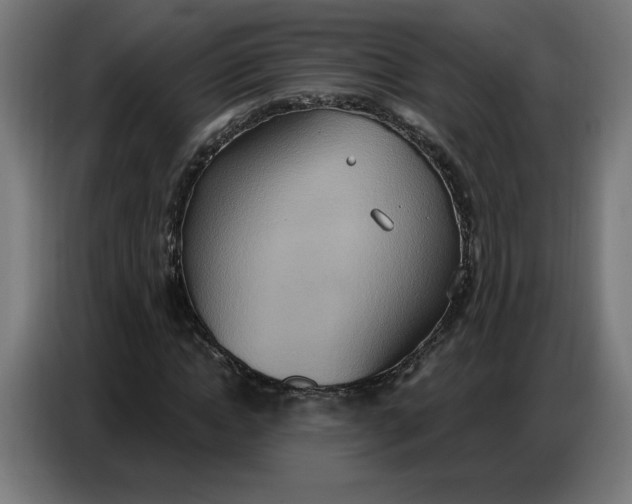 X0000086750822200705041425