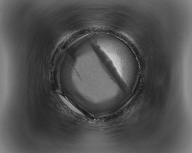 X0000086750823200705041425