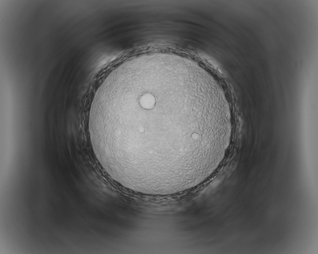 X0000086750824200705041425