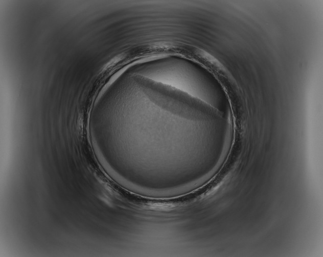 X0000086750825200705041425