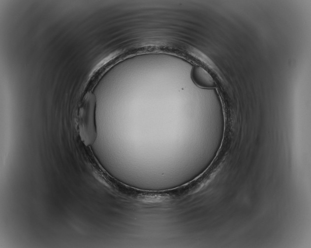 X0000086750826200705041425