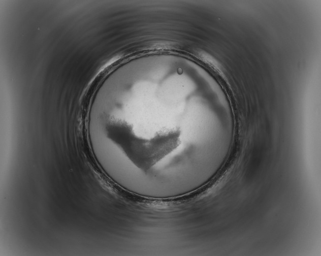 X0000086750827200705041425