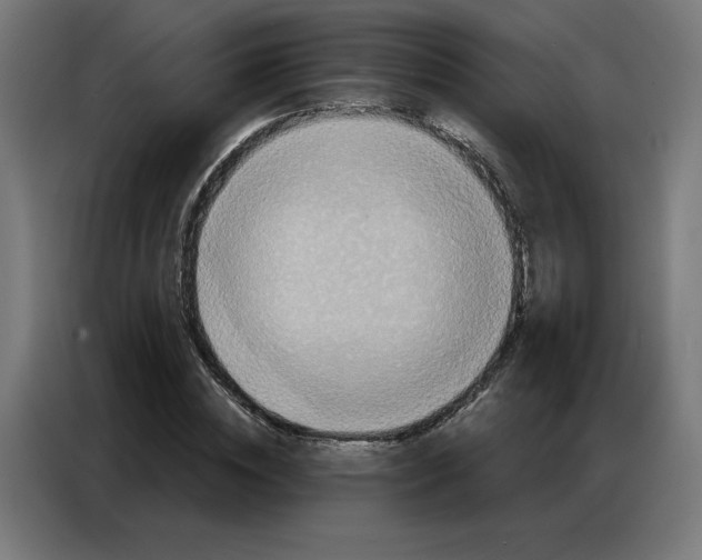 X0000086750828200705041425