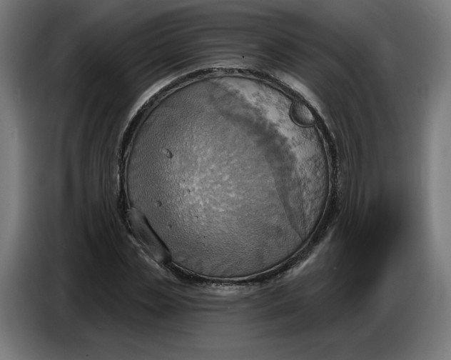 X0000086750829200705041426