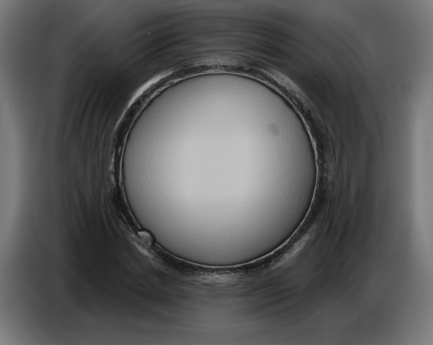 X0000086750830200705041426