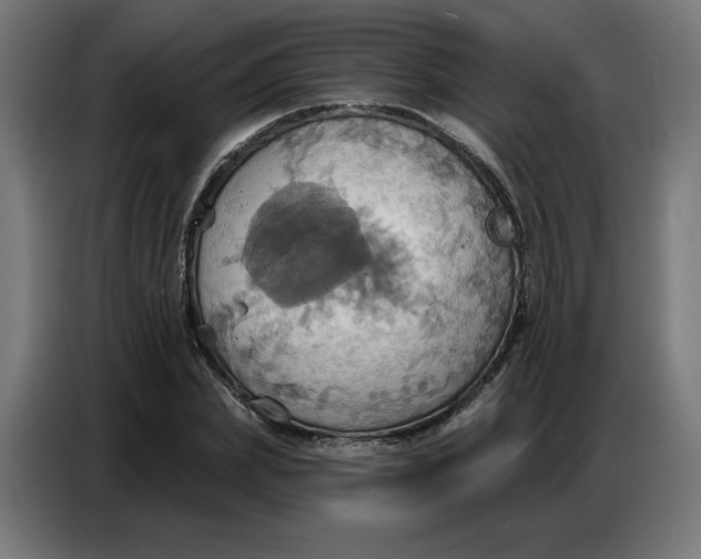 X0000086750831200705041426