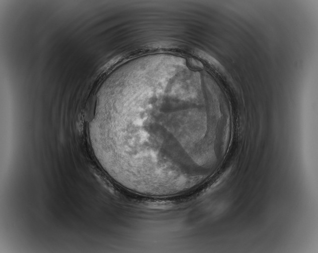 X0000086750833200705041426