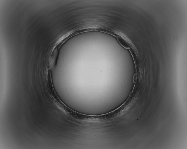 X0000086750834200705041426