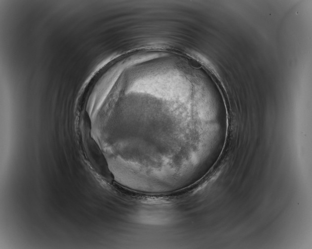 X0000086750835200705041426