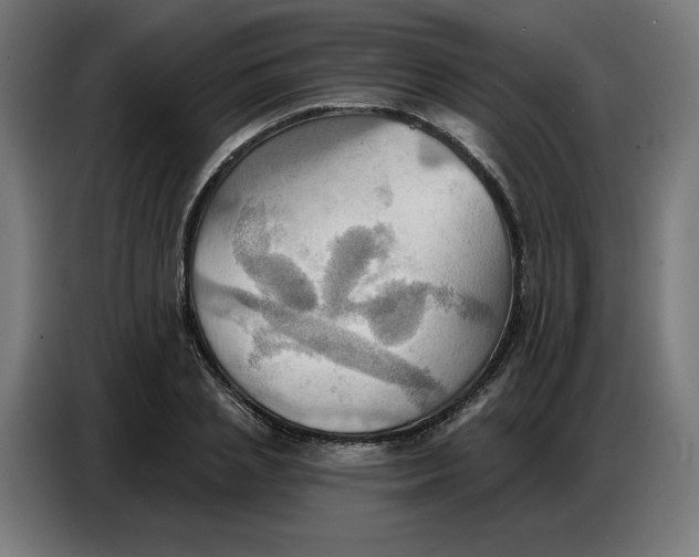 X0000086750837200705041426