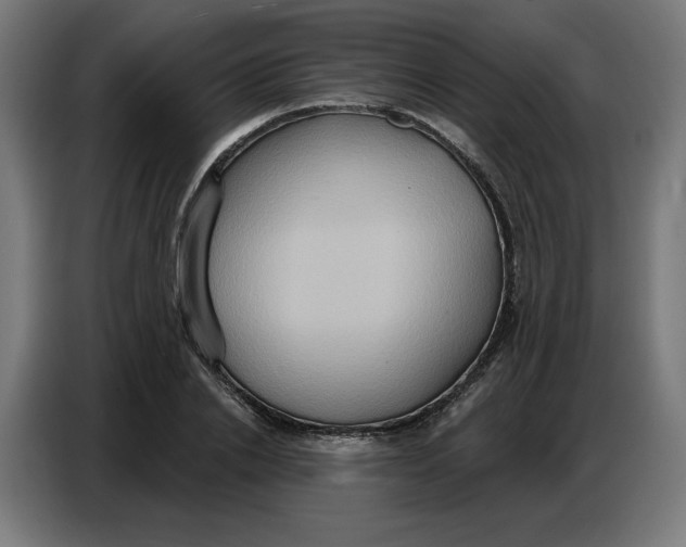 X0000086750838200705041426