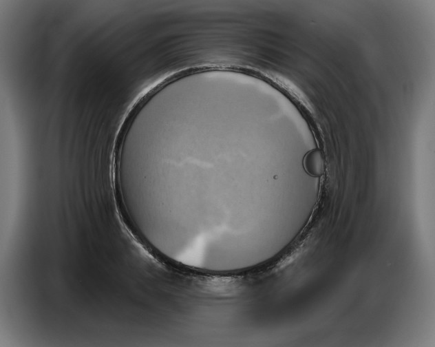 X0000086750839200705041426