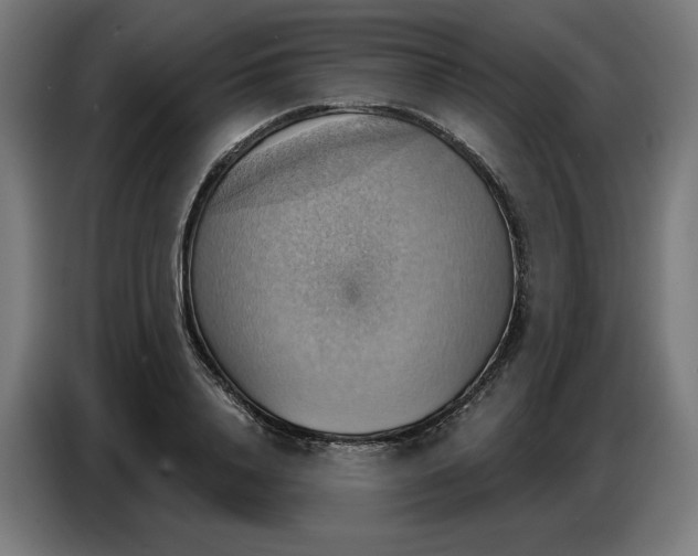 X0000086750840200705041426