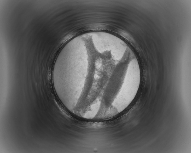 X0000086750841200705041426