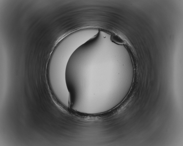 X0000086750842200705041426