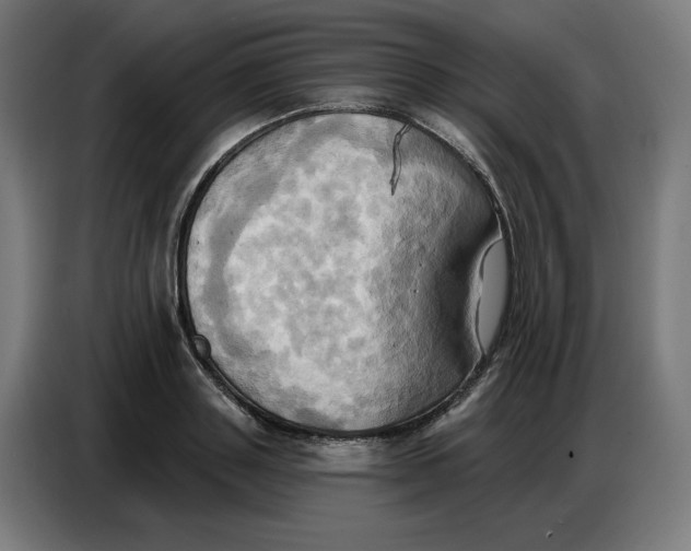 X0000086750843200705041426