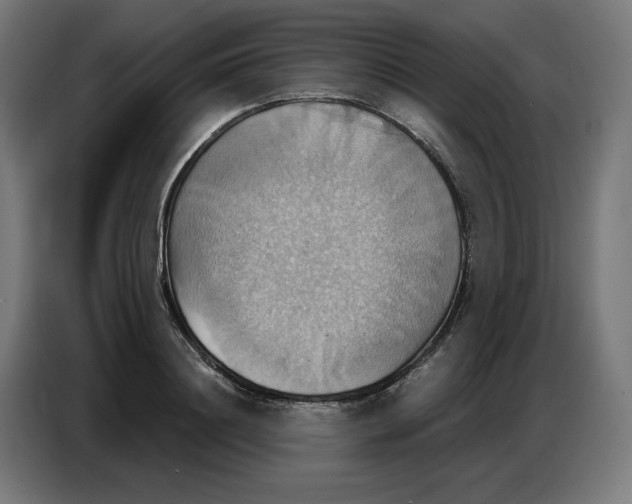 X0000086750844200705041426