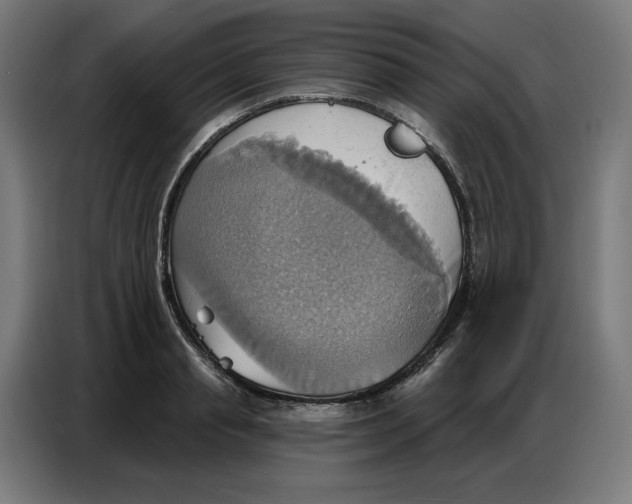 X0000086750845200705041426