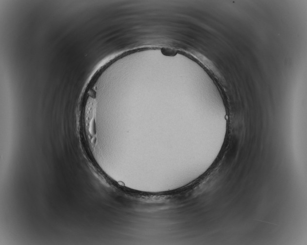 X0000086750846200705041426