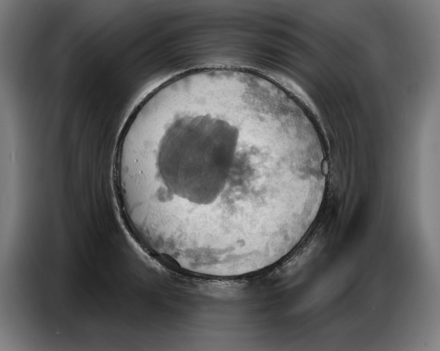 X0000086750847200705041426