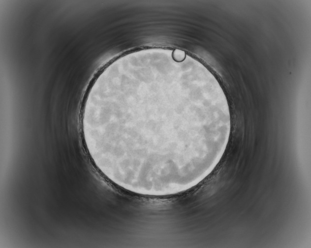 X0000086750848200705041426