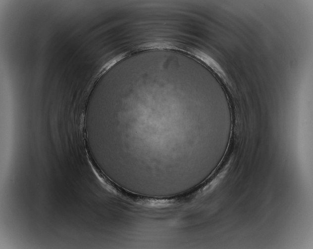 X0000086750849200705041426