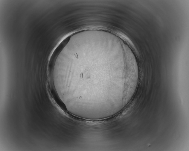 X0000086750852200705041426