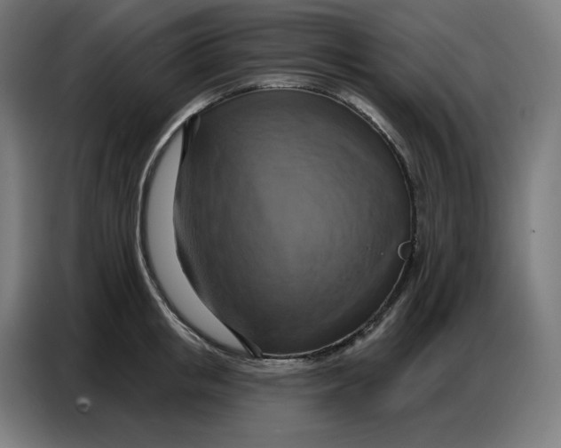 X0000086750853200705041426