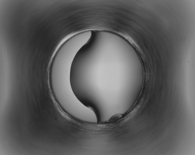 X0000086750854200705041426