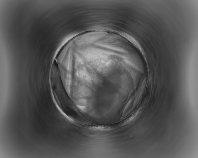 X0000086750855200705041426