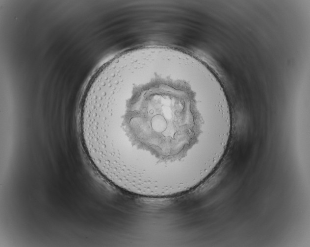 X0000086750856200705041426