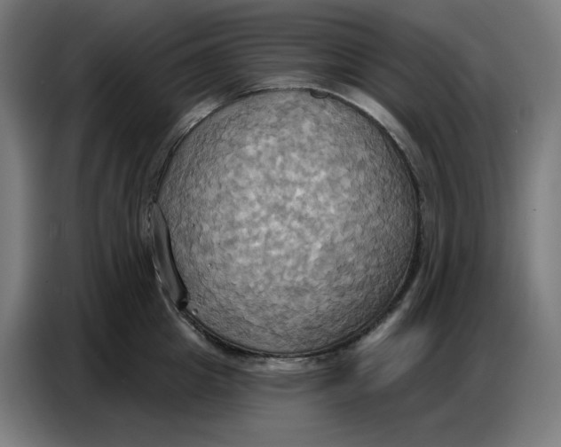 X0000086750857200705041426