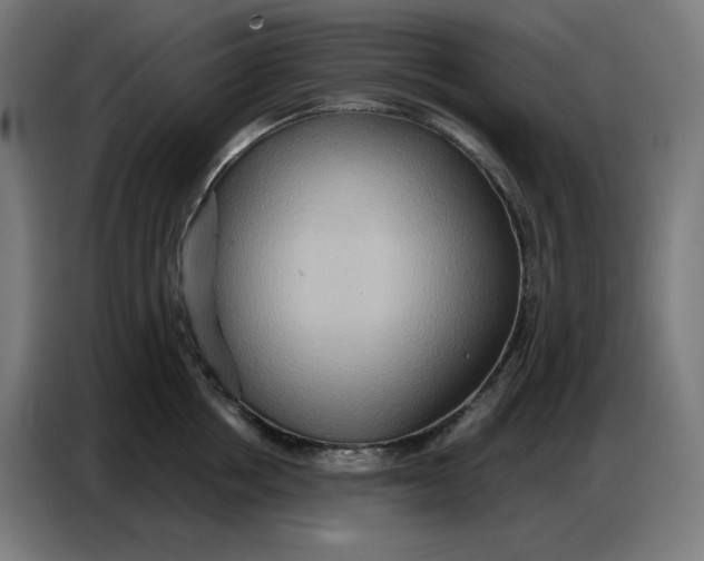 X0000086750858200705041426