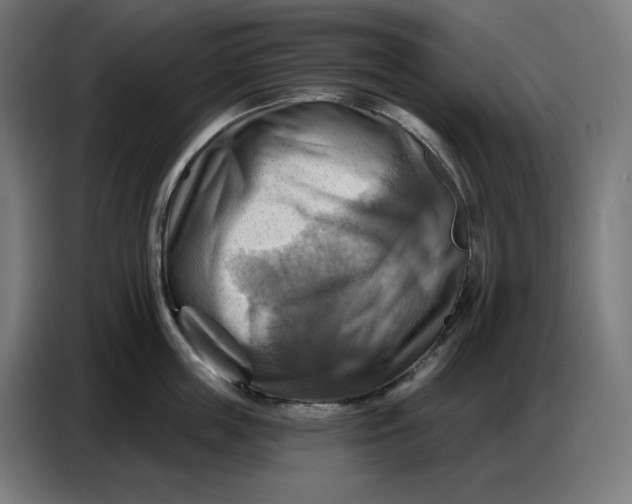 X0000086750859200705041426