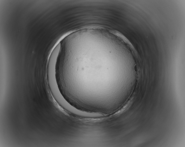 X0000086750860200705041426