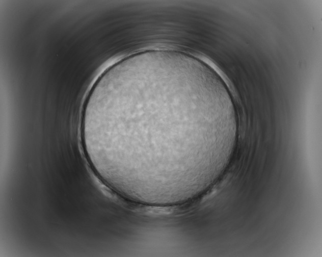 X0000086750861200705041426