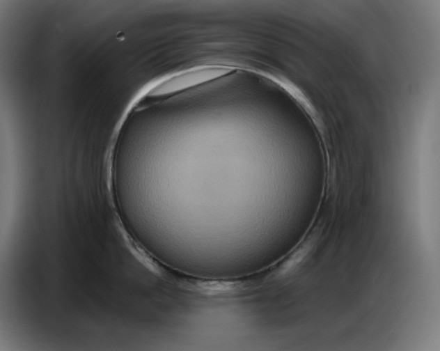 X0000086750862200705041426