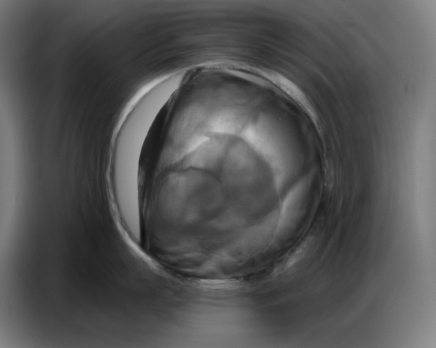 X0000086750863200705041426