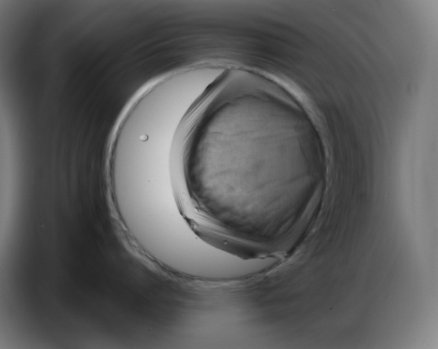 X0000086750864200705041426