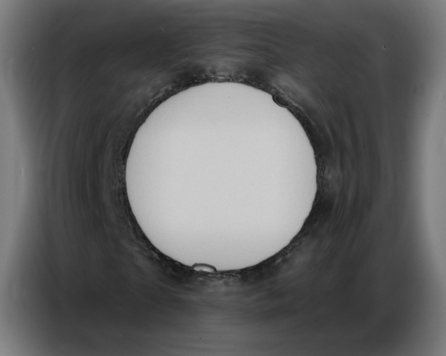 X0000086750865200705041425